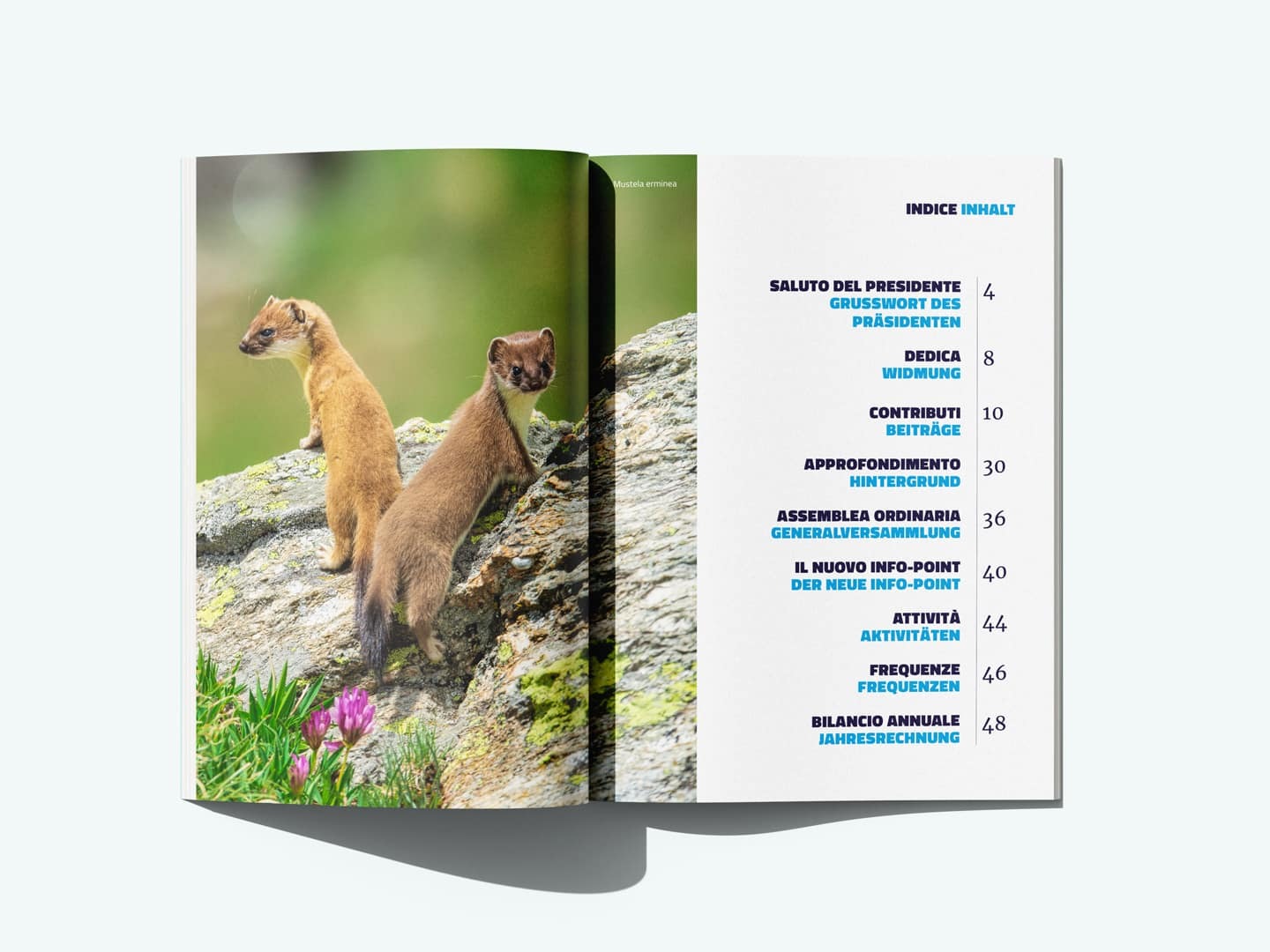 La relazione annuale 2025 è online